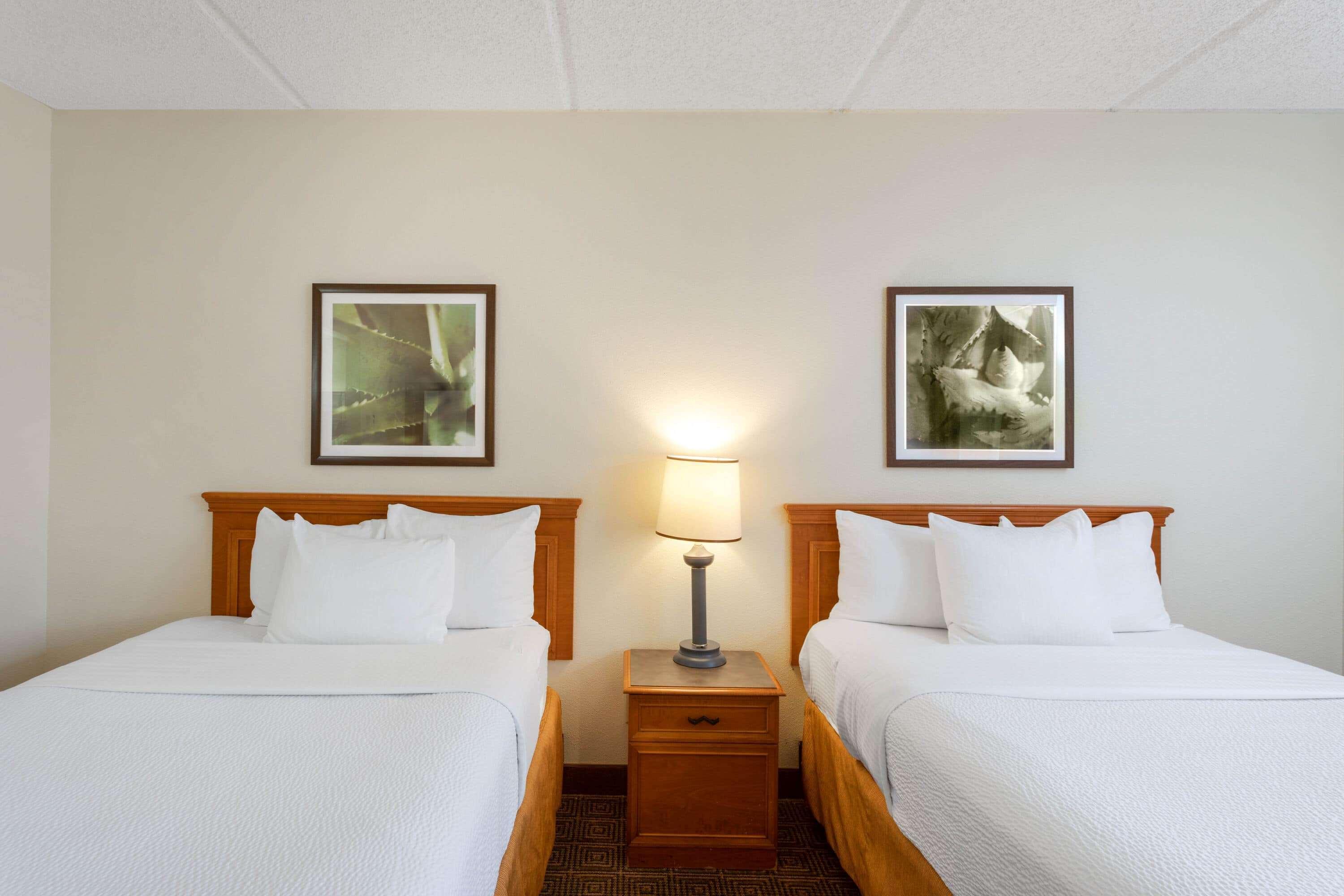 La Quinta Inn & Suites By Wyndham Jacksonville Mandarin Zewnętrze zdjęcie